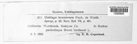 Image Associated With the Occurence
